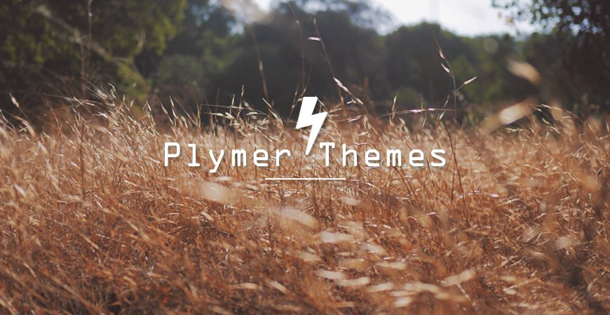 Plymer Themes